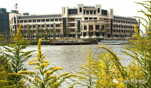 上海应用技术大学：培养应用型人才的摇篮，成就你的职业梦想