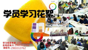 培训机构全解析：如何选择高性价比课程，轻松提升职业技能