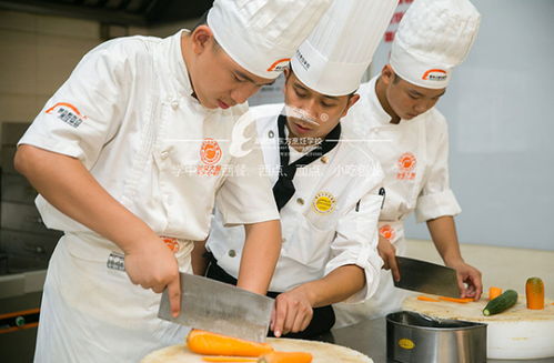 厨师职业全攻略：从入门到精通，轻松掌握烹饪技能与职业发展路径