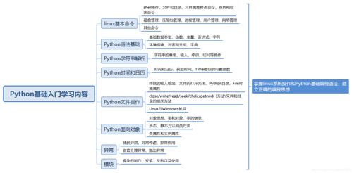 Python怎么读？掌握正确发音‘派森’让编程交流更顺畅