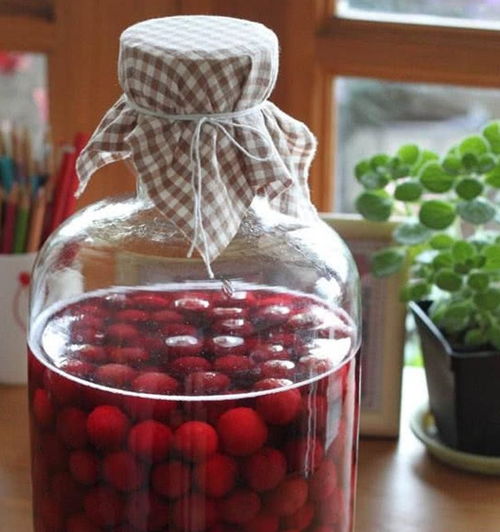 杨梅种植挑选储存全攻略：从果园到餐桌的酸甜美味指南