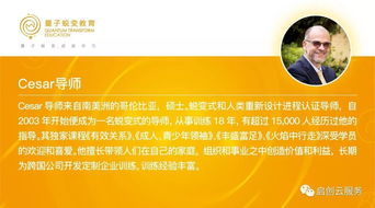 行政管理新手到专家的成长指南：从职场迷茫到高效管理的快乐蜕变