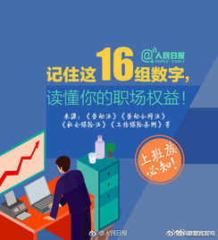 行政管理新手到专家的成长指南：从职场迷茫到高效管理的快乐蜕变