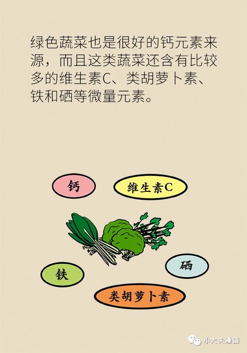 探索豆子的惊人营养秘密：从健康益处到创意烹饪全攻略