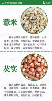 探索豆子的惊人营养秘密：从健康益处到创意烹饪全攻略