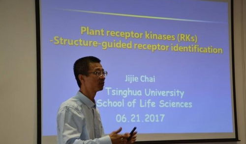 李军：从清华程序员到行业领袖的成长之路，揭秘技术与管理双修的实用智慧