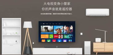 Alexa智能家居生态系统：轻松实现语音控制，打造便捷智能生活