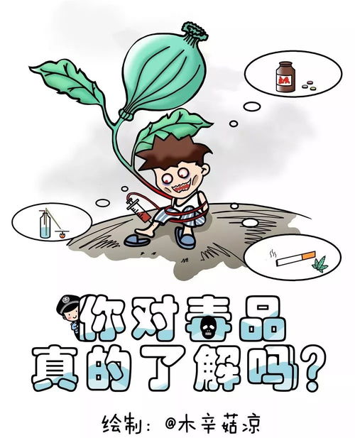 动漫插画市场趋势与创作变现全攻略：从入门到专业，轻松掌握插画技巧与商业机会