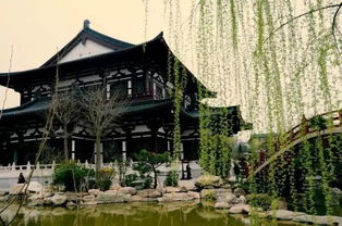 沣河历史生态文化全攻略：探索古都长安的千年印记与休闲体验