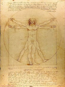 美术入门与鉴赏全攻略：从历史到创作，轻松掌握艺术精髓