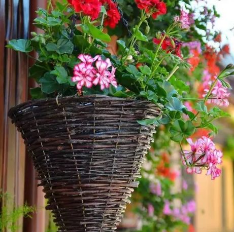 插花入门指南：从零开始轻松掌握插花技巧，避开常见误区，创作惊艳作品