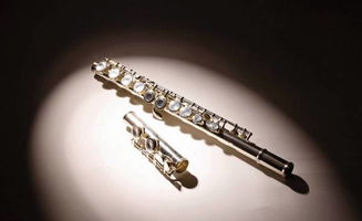 长笛入门到精通：轻松掌握优雅管乐器的选购与演奏技巧