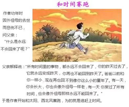 李伟的成长故事：从书香童年到技术领袖的务实人生