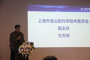 张帆的职业成长与领导力秘诀：如何在科技行业实现个人突破与团队成功