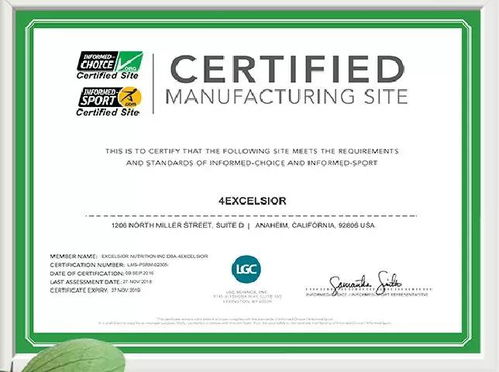 CCAA认证全攻略：快速获取权威资质，轻松提升职业竞争力