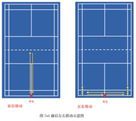 乒乓球规则全解析：从入门到精通，轻松掌握比赛技巧与得分秘籍