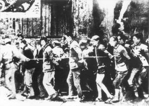 陈光：从农家少年到抗日名将的革命传奇与军事智慧