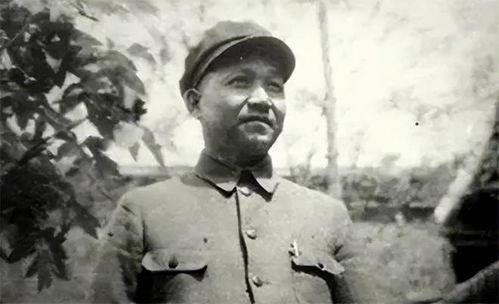 陈光：从农家少年到抗日名将的革命传奇与军事智慧