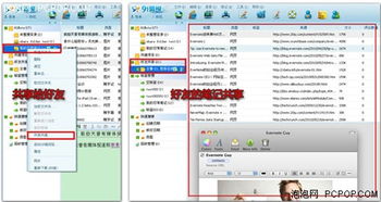 绘画软件新手入门指南：从免费到付费，找到最适合你的创作工具