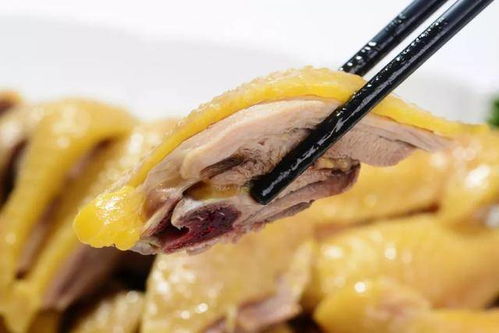 白切鸡的制作过程全攻略：从选鸡到蘸料，轻松做出皮脆肉嫩的粤式美味