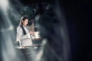 文静性格的深度解析：如何在这个喧嚣世界找到自己的位置与独特优势