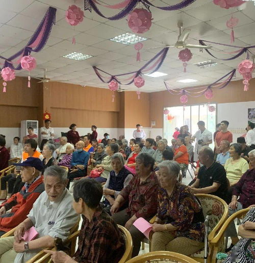 代乐乐演艺生涯全解析：从青涩到成熟的表演艺术与代表作品