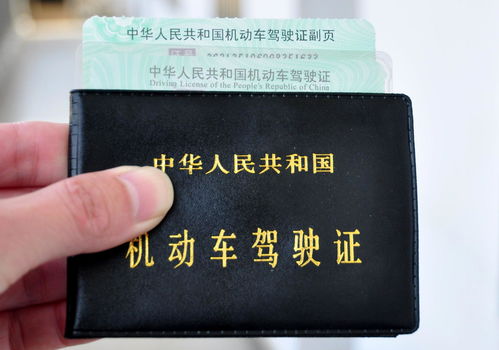 驾照培训全攻略：从报名到拿证，轻松掌握驾驶技能，开启自由出行新生活
