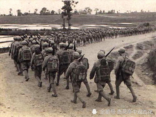 丁盛将军传奇：从农家子弟到开国将领的军事智慧与革命人生