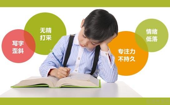 感统训练：轻松解决孩子感统失调，提升学习与社交能力
