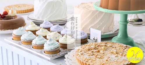 罗红：从好利来蛋糕帝国到自然摄影大师，商业与艺术的完美跨界人生