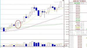 doe雌鹿形态特征与物种识别指南：轻松掌握野外观察技巧