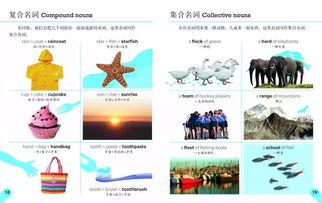 牛奶的英文怎么说？掌握这些实用表达，轻松应对国外生活