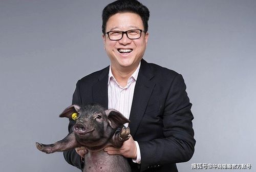 郭斌的创业故事：从江南小镇到商界传奇，揭秘成功背后的关键决策与人生智慧