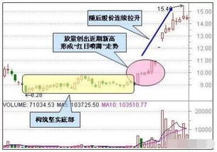 杨百寅知识整体论：掌握三种知识形态，轻松提升组织效能与创新能力