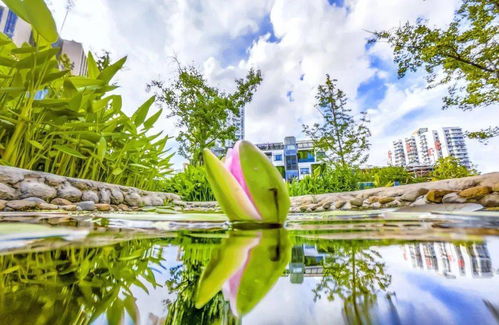 体育生可以考哪些大学？2024最全择校指南，轻松找到最适合你的升学路径