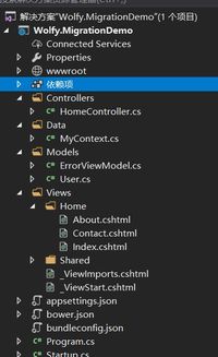 ef 实体框架入门教程：快速掌握数据库操作与代码优先迁移