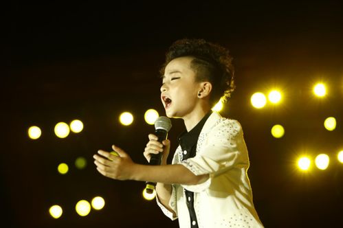 袁野个人资料与演艺生涯全解析：从《逆光飞翔》到《迷雾追踪》的成长轨迹