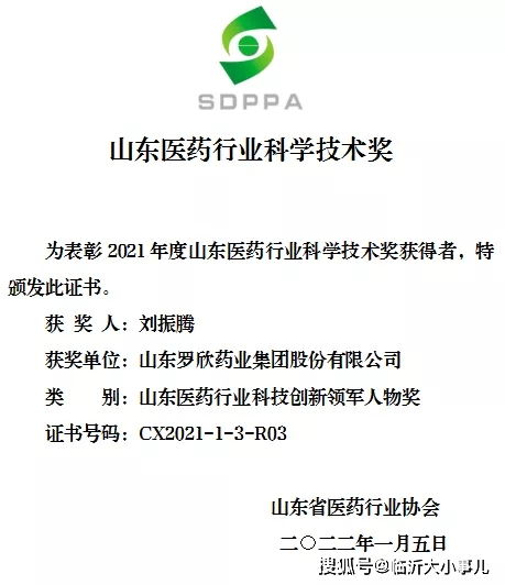 张文：从算法痴迷到AI领军人物，揭秘他的技术成长与创新突破