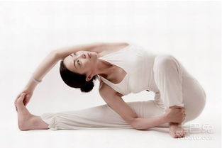 练瑜伽的好处：轻松提升身心健康，告别压力与失眠