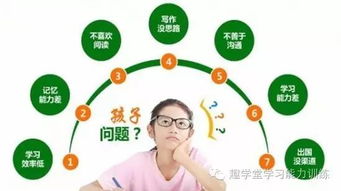 如何提升学习能力：掌握高效学习方法，轻松应对知识更新