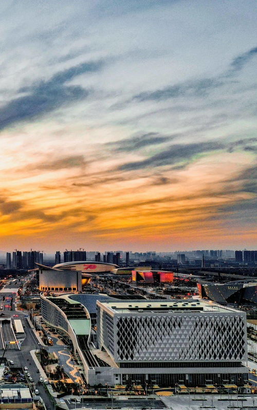 赵建飞：信息技术专家的职业成长与专业能力全解析，助你掌握技术人发展路径