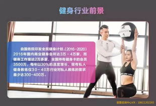 健身教练培训全攻略：从零基础到高薪就业的完整指南