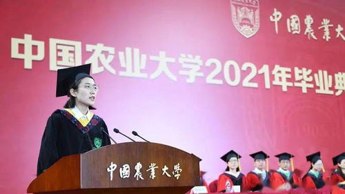 李丹演艺生涯全解析：从基层磨砺到实力派演员的成长之路