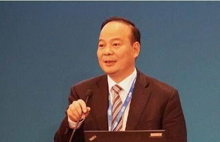 张林：技术领袖的成长之路，从工程师到CTO的卓越职业生涯与专业技能解析