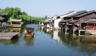 王晴：从江南水乡到数字山水，探索传统与当代的艺术融合之路