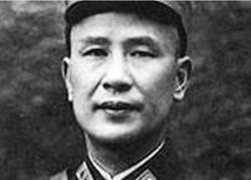 张岩：从北方小城到跨界创作大师，如何用文字与影像打动人心