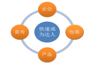 易学堂课程全解析：从零基础到职场达人的高效学习路径