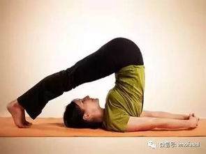 哈他瑜伽入门指南：轻松掌握基础体式与呼吸法，缓解压力提升健康