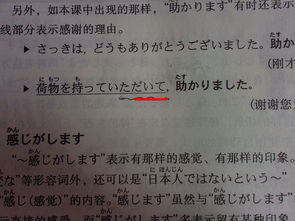 日语谢谢怎么说？从发音到场景的完整指南，轻松学会地道感谢表达