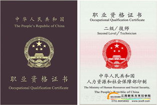 营养师资格证报考指南：轻松拿证开启高薪职业之路